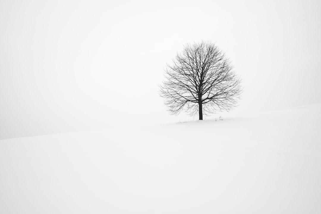 Photo Winter workout