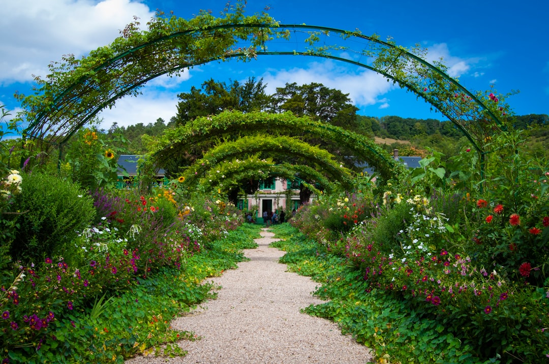 Photo garden